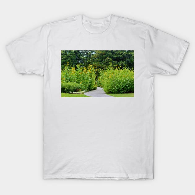 Sunflower Garden T-Shirt by Cynthia48